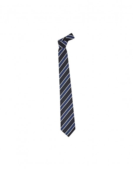 BCO-99103 - Mens Wide Contrast Stripe Tie - Biz Corporates - Corporates